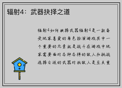 辐射4:武器抉择之道
